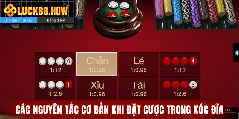 Các nguyên tắc cơ bản khi đặt cược trong xóc đĩa cần nhớ
