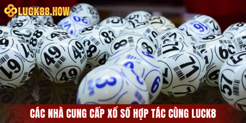Các nhà cung cấp xổ số hợp tác cùng LUCK8