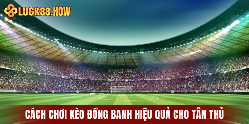 Cách chơi kèo đồng banh hiệu quả cho tân thủ