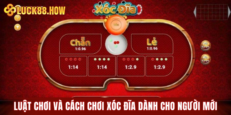 Luật chơi và cách chơi xóc đĩa dành cho người mới bắt đầu