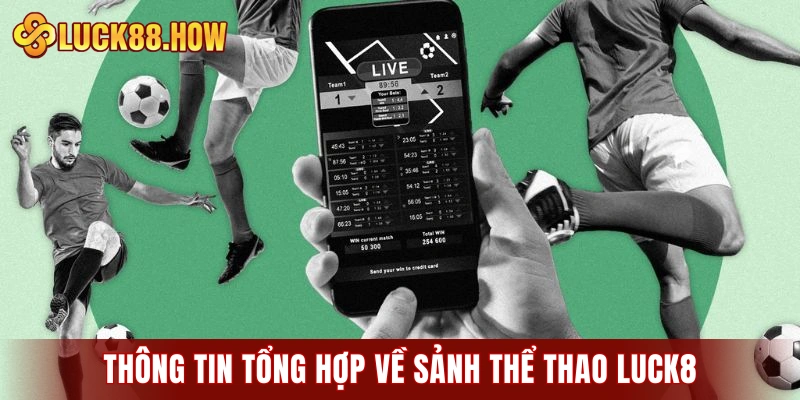 Thông tin tổng hợp về sảnh thể thao LUCK8